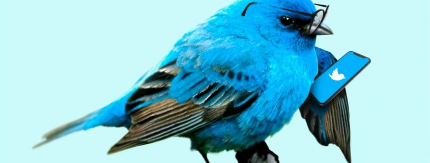 Twitter - Blue bird with glasses holding a smartphone with Twitter's logo