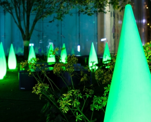 Night garden with plants and green lights